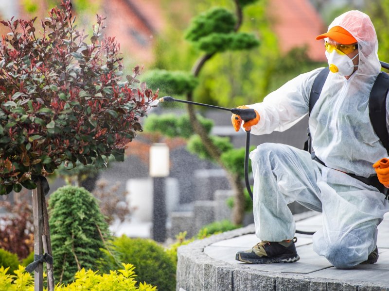 Honaz Haşere İlaçlama